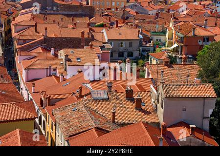 Koper, Slovénie - 25 août 2024 : les toits de tuiles rouges pittoresques de la vieille ville de Koper, Slovénie *** Die malerischen roten Ziegeldächer der Altstadt von Koper, Slowenien Banque D'Images