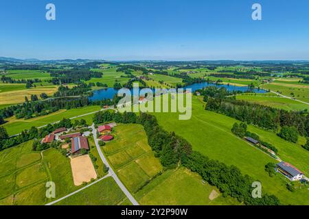 Nature du début de l'été dans le Allgäu autour de l'étang Schwaltenweiher près de la station thermale climatique de Seeg Banque D'Images