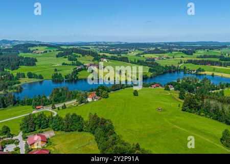 Nature du début de l'été dans le Allgäu autour de l'étang Schwaltenweiher près de la station thermale climatique de Seeg Banque D'Images