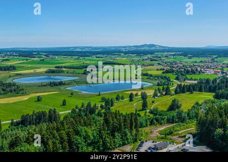 Nature du début de l'été dans le Allgäu autour de l'étang Schwaltenweiher près de la station thermale climatique de Seeg Banque D'Images