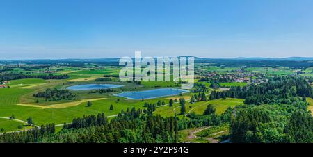 Nature du début de l'été dans le Allgäu autour de l'étang Schwaltenweiher près de la station thermale climatique de Seeg Banque D'Images