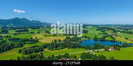 Nature du début de l'été dans le Allgäu autour de l'étang Schwaltenweiher près de la station thermale climatique de Seeg Banque D'Images