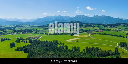 Nature du début de l'été dans le Allgäu autour de l'étang Schwaltenweiher près de la station thermale climatique de Seeg Banque D'Images