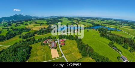 Nature du début de l'été dans le Allgäu autour de l'étang Schwaltenweiher près de la station thermale climatique de Seeg Banque D'Images