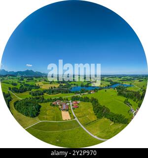 Nature du début de l'été dans le Allgäu autour de l'étang Schwaltenweiher près de la station thermale climatique de Seeg Banque D'Images