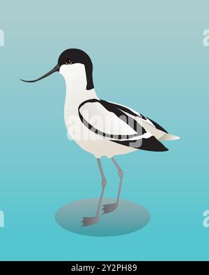 Une illustration numérique d'un pied avocet Illustration de Vecteur