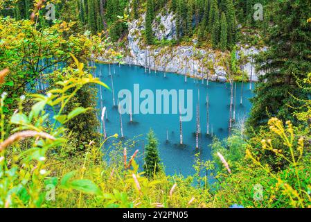 Lac Kaindy, chaîne de montagnes Kungey Alatau, nord de Tien Shan. Le lac Kaindy est situé dans le sud du Kazakhstan dans le parc national des lacs de Kolsay Banque D'Images