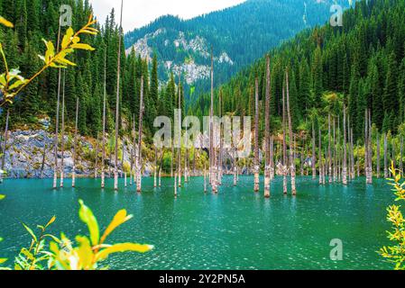 Lac Kaindy, chaîne de montagnes Kungey Alatau, nord de Tien Shan. Le lac Kaindy est situé dans le sud du Kazakhstan dans le parc national des lacs de Kolsay Banque D'Images