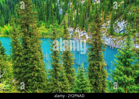 Lac Kaindy, chaîne de montagnes Kungey Alatau, nord de Tien Shan. Le lac Kaindy est situé dans le sud du Kazakhstan dans le parc national des lacs de Kolsay Banque D'Images