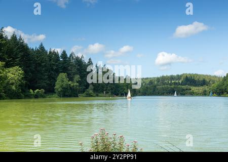 Shearwater (Shear Water) est un lac d'eau douce artificiel près du village de Crockerton dans le Wiltshire, en Angleterre Banque D'Images