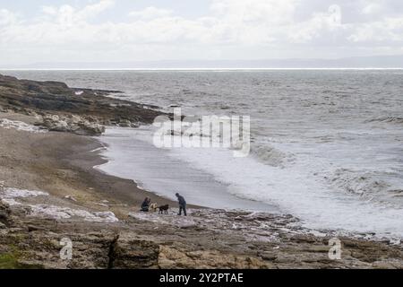 11 septembre 2024, Hardy’s Bay, Ogmore-by-Sea, Bridgend, Vale of Glamorgan, pays de Galles. MÉTÉO : vents forts et courants forts à marée décroissante, au milieu du soleil et des nuages à Ogmore by Sea aujourd'hui. La pluie est prévue pour plus tard dans l'après-midi. Pic DE MARÉE HAUTE 11,31 Bridget Catterall/Alamy Live News Banque D'Images