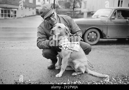 Current 50-7-1970 : Une école pour aveugles et son chien. La Fédération norvégienne des aveugles a acheté une propriété plus grande à Østfold et y a installé une école de chiens-guides, qui formera désormais une trentaine de chiens-guides pour aveugles chaque année. Finn Tunsli d'Oslo avec Runa. Les chiens-guides reçoivent une formation sur la circulation, c'est-à-dire qu'ils doivent marquer pour le conducteur lorsqu'une voiture veut traverser le passage pour piétons. Photo : Ivar Aaserud / Aktuell / NTB ***la photo n'est pas traitée*** le texte de l'image est traduit automatiquement le texte de l'image est traduit automatiquement Banque D'Images