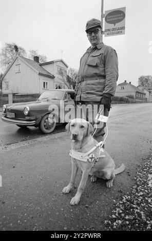 Current 50-7-1970 : Une école pour aveugles et son chien. La Fédération norvégienne des aveugles a acheté une propriété plus grande à Østfold et y a installé une école de chiens-guides, qui formera désormais une trentaine de chiens-guides pour aveugles chaque année. Finn Tunsli d'Oslo avec Runa. Les chiens guides reçoivent une formation sur la circulation, c’est-à-dire qu’ils doivent marquer pour le conducteur lorsqu’une voiture veut traverser le passage piéton. Photo : Ivar Aaserud / Aktuell / NTB ***la photo n'est pas traitée*** le texte de l'image est traduit automatiquement le texte de l'image est traduit automatiquement Banque D'Images