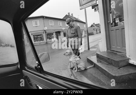 Current 50-7-1970 : Une école pour aveugles et son chien. La Fédération norvégienne des aveugles a acheté une propriété plus grande à Østfold et y a installé une école de chiens-guides, qui formera désormais une trentaine de chiens-guides pour aveugles chaque année. Finn Tunsli d'Oslo avec Runa. Les chiens-guides reçoivent une formation sur la circulation, c'est-à-dire qu'ils doivent marquer pour le conducteur lorsqu'une voiture veut traverser le passage pour piétons. Photo : Ivar Aaserud / Aktuell / NTB ***la photo n'est pas traitée*** le texte de l'image est traduit automatiquement le texte de l'image est traduit automatiquement Banque D'Images