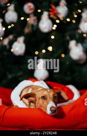 Un charmant chien dans un chapeau de Père Noël repose sur un coussin rouge vif avec un sapin de Noël joliment décoré en arrière-plan, orné de doux éclatants Banque D'Images