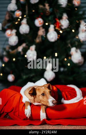 Un charmant chien vêtu d'une tenue rouge et blanche du Père Noël se détend sur un lit rouge moelleux à côté d'un sapin de Noël joliment décoré rempli de pendaison Banque D'Images