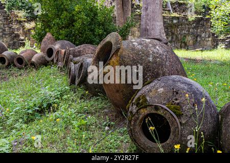 Le vieux qvevri géorgien, vases de vin traditionnels, est en désarroi parmi la verdure des ruines historiques de l'Académie d'Ikalto, soulignant la profondeur de la Géorgie Banque D'Images