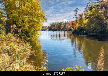 La rivière Cullasaja, qui fait partie de la forêt nationale de Nantahala et de la Mountain Waters Scenic Byway en Caroline du Nord. Banque D'Images