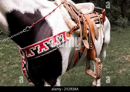 Vue détaillée présentant une selle de cheval ornée et un harnais décoratif, sur fond vert de la Marquesa, Toluca. Le cuir complexe Banque D'Images