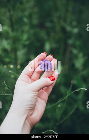 Une image en gros plan de la main d'une femme avec du vernis à ongles rouge tenant une petite fleur bleue éclatante sur un fond vert luxuriant, symbolisant une connexion Banque D'Images