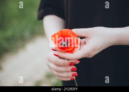 Un gros plan d'une femme dans une tenue noire tenant une fleur de coquelicot rouge vif délicatement dans ses mains, mettant en valeur sa manucure rouge contre le g mou Banque D'Images
