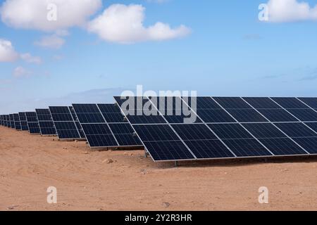 Un paysage présentant des rangées de panneaux solaires installés dans un cadre désertique, reflétant la production d’énergie durable sous un ciel bleu clair Banque D'Images