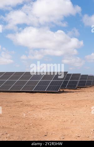 Des rangées de panneaux solaires captent la lumière du soleil dans un désert aride, illustrant une vaste installation d'énergie renouvelable sous un ciel nuageux Banque D'Images