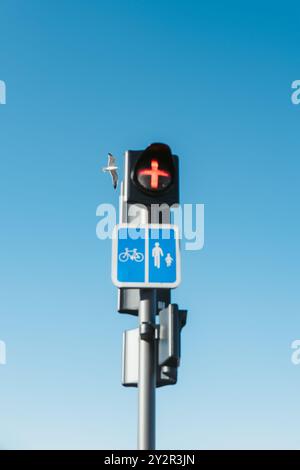 Un feu rouge pour piétons à Bayonne, avec une mouette volant contre un ciel bleu clair, à côté des panneaux de circulation pour cyclistes et piétons. Banque D'Images