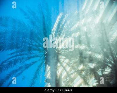 Une vue rêveuse et abstraite de palmiers et d'un bâtiment vu à travers du verre brumeux, avec la lumière du soleil filtrant à travers l'image évoque une tropique douce Banque D'Images