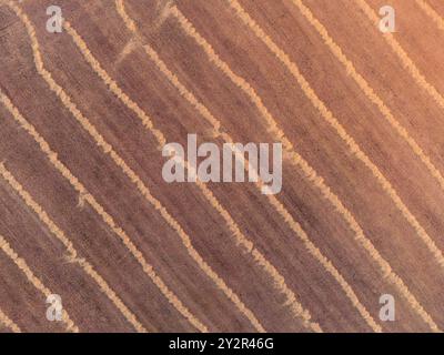 Prise de vue aérienne capturant la terre brune texturée des champs agricoles labourés à Brihuega, Guadalajara, Espagne les sillons créent un motif complexe, Banque D'Images