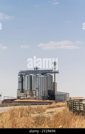 Les grands silos de stockage de céréales se dressent en évidence contre un ciel bleu vif dans un environnement rural, reflétant leur rôle crucial dans les chaînes d’approvisionnement agricoles Banque D'Images