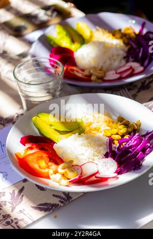 Une assiette vibrante de cuisine végétalienne avec des tranches d'avocat, riz blanc, tomates, chou rouge, radis, et des noix de cajou, artistiquement arrangées pour une guérison Banque D'Images