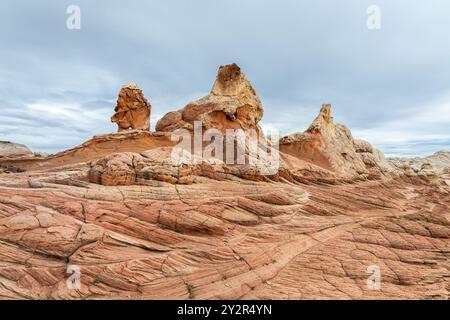 Structures géologiques saisissantes de White Pocket situé dans le Paria Canyon-Vermilion Cliffs Wilderness, Arizona, présentant des tourbillons sablonneux captivants Banque D'Images