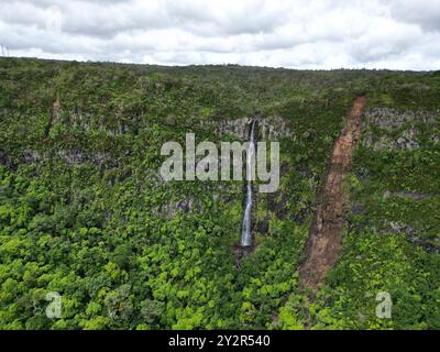 Une photographie aérienne captivante met en valeur une superbe cascade qui traverse une jungle verdoyante à Maurice, soulignant la beauté intacte de celle-ci Banque D'Images