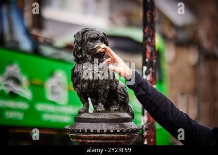 Greyfriars Bobby, monument d'Édimbourg, touriste statutaire terrier, se frotte le nez pour avoir de la chance. Banque D'Images