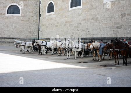 Une file de calèches avec des chauffeurs attendant près d'un bâtiment historique en pierre dans une ville européenne Banque D'Images