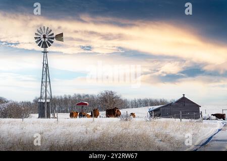 Scène de ferme d'hiver avec vieux moulin à vent et grange penchée par les intempéries sur des champs de prairie enneigés près de Cochrane Alberta Canada. Banque D'Images