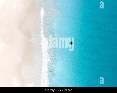 Vue aérienne d'une raie manta nageant près de la rive d'une plage de sable blanc immaculé avec de l'eau turquoise.. Banque D'Images