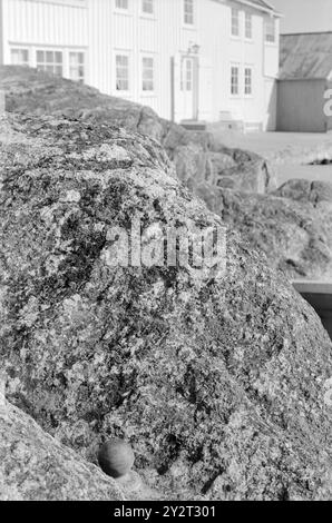 Courant 48B-4-1971 : zéro mètre au-dessus du niveau de la mer. Tregde, à quelques kilomètres de Mandal, a une fonction spéciale de station de mesure officielle des niveaux d'eau en Norvège. Une petite sphère et un appareil de mesure fournissent la base pour le niveau de hauteur dans nos cartes, triangulations et triangulations municipales. L'inertie est la zone la plus stable et convient bien comme « point zéro ». Oslo augmente, par exemple 4 millimètres par an. Ici, nous avons la fameuse balle - ou boulon. Non remarquable oui, mais important néanmoins, peut-être une petite attraction touristique? Photo : Sverre A. Børretzen / Aktuell / NTB ***PHOTO NO Banque D'Images