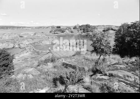 Current 34 - 3 - 1971 : île d'été pour artistsEn Citadeløya juste à l'extérieur de Stavern, les artistes visuels ont eu leur paradis d'été depuis 60 ans. L'île a été une source d'inspiration pour des artistes connus et moins connus. Aujourd'hui, il y a aussi un regain d'intérêt pour la préservation des valeurs culturelles et historiques de l'île. Jeunes artistes dans une promenade estivale sur l'île diverse. La faune aviaire et la flore sont riches et distinctives. Photo : Aage Storløkken / Aktuell / NTB ***PHOTO NON TRAITÉE*** le texte de cette image est traduit automatiquement Banque D'Images