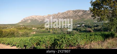 Vue panoramique sur le village de Puyloubier et les vignobles, avec la montagne Sainte-victoire en arrière-plan, région viticole renommée ses vins de Côtes de Provence Banque D'Images