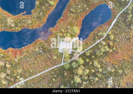 Nature estonienne par un matin brumeux. Marais de Seli et un sentier de randonnée avec une tour d'observation. Photo vue vers le bas depuis un drone. Banque D'Images