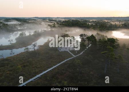 Nature estonienne un matin d'automne brumeux. Marais de Seli et un sentier de randonnée avec une tour d'observation. Vue photo depuis un drone. Banque D'Images