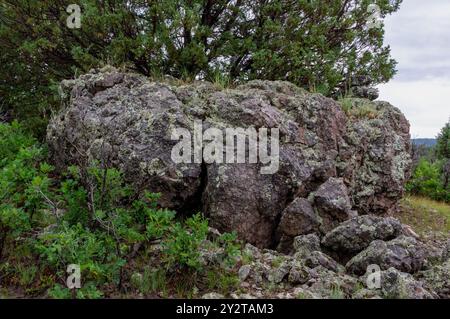 Grand affleurement rocheux igné, andésite volcanique, probablement extrudeuse, qui a coulé sur le sol existant, comté de Rio Arriba, Nouveau-Mexique, États-Unis Banque D'Images