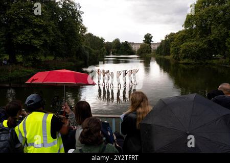 Les acteurs du Swan Lake de Matthew Bourne recréent des moments de l'emblématique production de danse en costume lors d'une séance photo sur le lac de St James' Park, dans le centre de Londres. Matthew Bourne's Swan Lake revient pour une tournée du 30e anniversaire, commençant au Theatre Royal Plymouth le 11 novembre avant de visiter le Lowry, Salford à partir du 19 novembre, avant la saison annuelle de Noël de 8 semaines au Sadler's Wells à partir du 3 décembre et une tournée britannique en 2025. Date de la photo : mercredi 11 septembre 2024. Banque D'Images