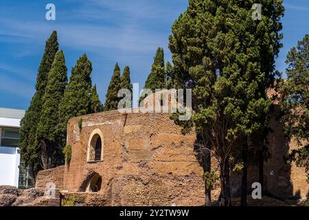 Anciennes ruines romaines entourées de grands cyprès sous un ciel bleu clair à Rome, Italie. Banque D'Images