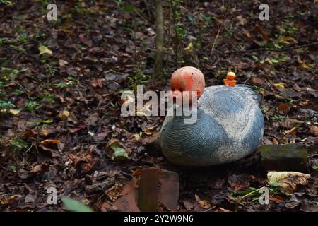 Un corps d'oie avec une tête de poupée collée sur le sentier Doll's Head d'Atlanta, Géorgie Banque D'Images