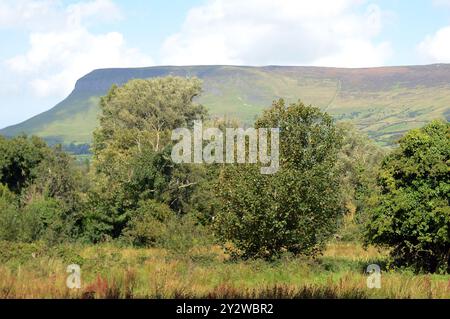 Drumcliffe, comté de Sligo, Irlande. 30 août 2024. 20240830 - vue de la formation de colline rocheuse à sommet plat appelée Benbulbin depuis le cimetière de l'église de la colonne de Drumcliffe, comté de Sligo, Irlande. (Crédit image : © Chuck Myers/ZUMA Press Wire) USAGE ÉDITORIAL SEULEMENT! Non destiné à UN USAGE commercial ! Banque D'Images