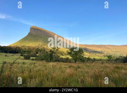 Drumcliffe, comté de Sligo, Irlande. 30 août 2024. 20240830 - vue en fin d'après-midi de la formation de colline rocheuse à sommet plat appelée Benbulbin, près de l'entrée de la promenade de la forêt de Benbulbin dans le comté de Sligo, en Irlande. (Crédit image : © Chuck Myers/ZUMA Press Wire) USAGE ÉDITORIAL SEULEMENT! Non destiné à UN USAGE commercial ! Banque D'Images