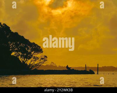 Un pêcheur silhouette pêchant et se relaxant dans la soirée sur une chaise à côté des eaux de l'estuaire au coucher du soleil avec des arbres derrière lui Banque D'Images